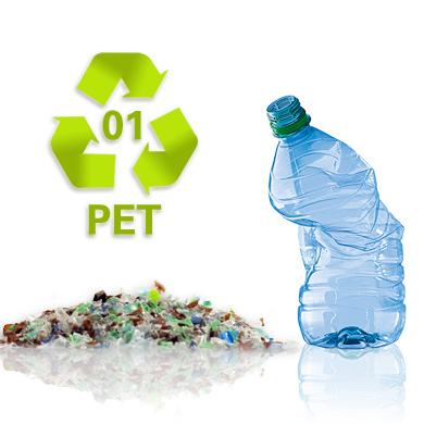 Pet Recycling 
